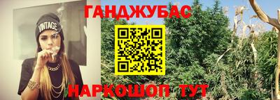 амф Кингисепп