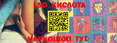 винт Кимры