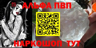 амф Кингисепп