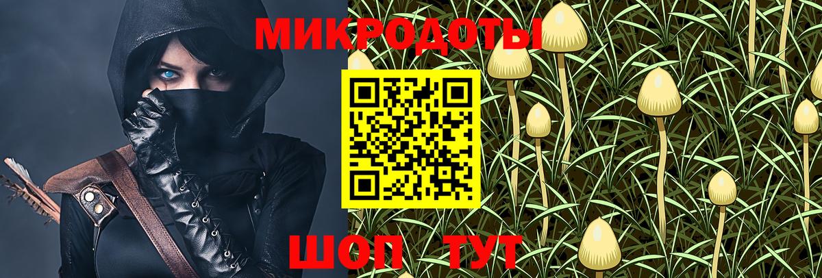 Галлюциногенные грибы мухоморы  Вход с VPN  Псилоцибиновые грибы GOLDEN TEACHER  Кузнецк 